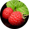 chiringuito-dessert-fruit-rouge